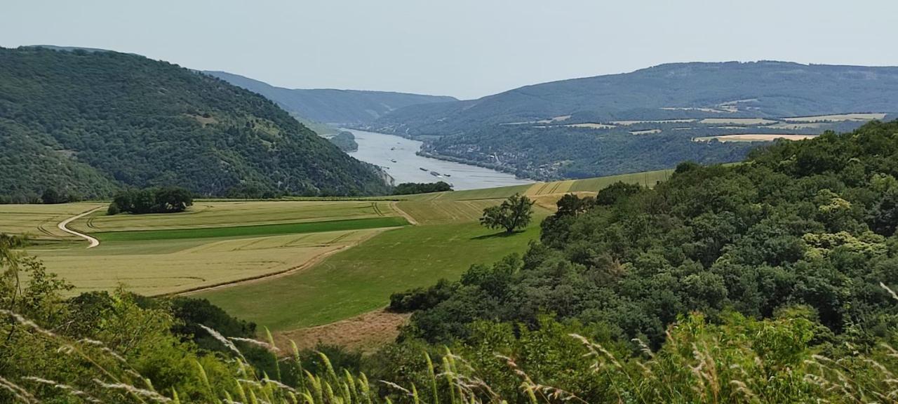 Kleine Auszeit - Ferienwohnung Heideberg - "Rhein" In Den Urlaub Bacharach Exteriör bild